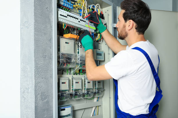 Best Electric Panel Repair  in De Soto, IL